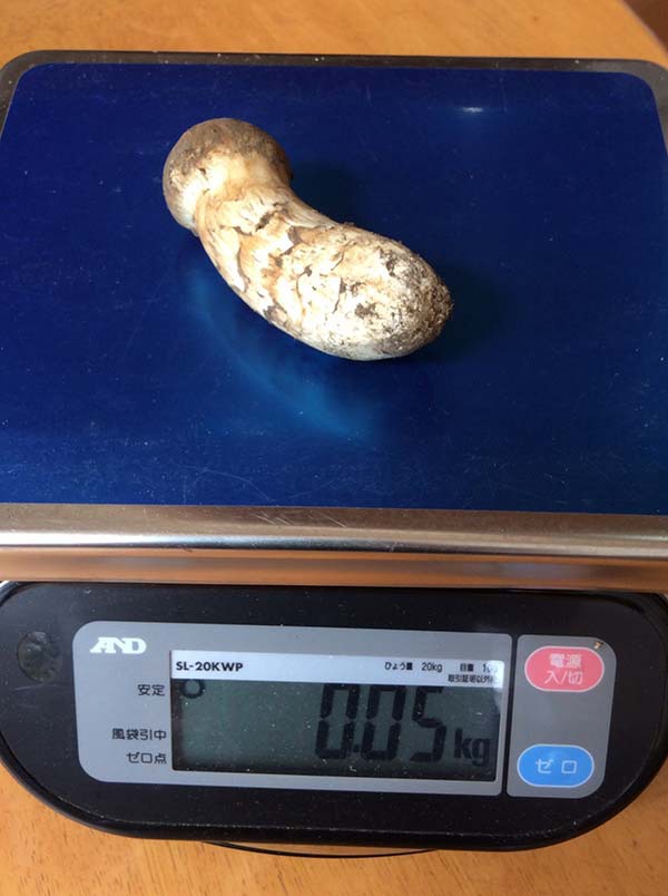 特選つぼみ50gの写真