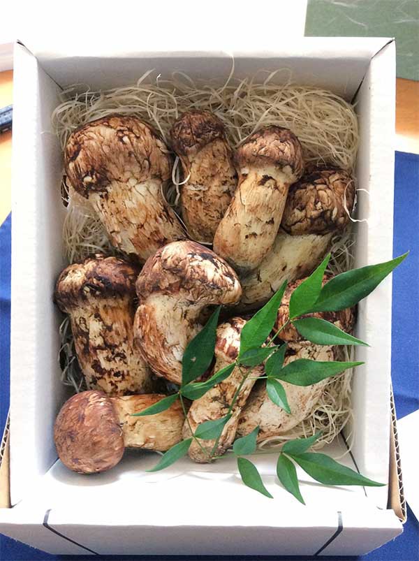 東京飲食店様ご依頼品大きめつぼみと特撰500gの写真