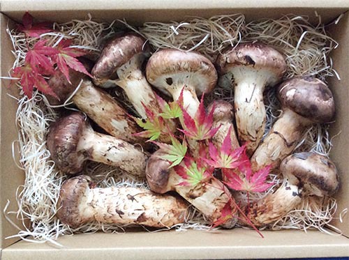 豪華客船様特注品特撰詰め合わせ680gの写真