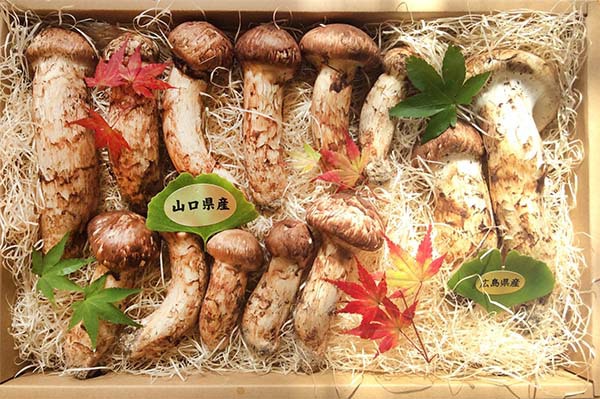 豪華客船様 特注品 特撰詰め合わせ 900gの写真