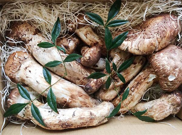 兵庫県 飲食店様 特注品 1kg の写真