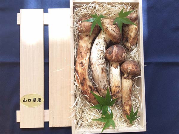 ご家族様への贈り物 3万円分の写真