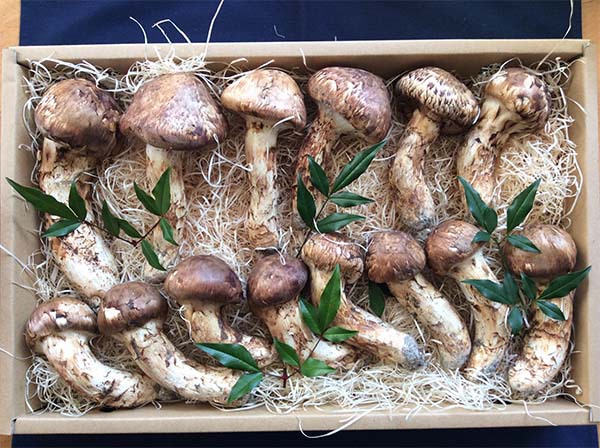 豪華客船 特注品 特撰つぼみと中つ 約1kg の写真
