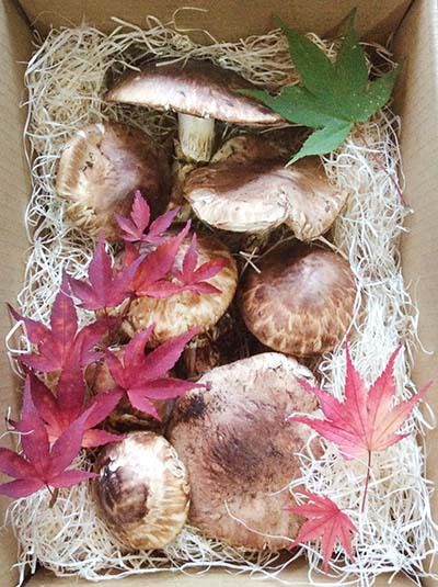 広島 鮨割烹 特注品 ひらき600gの写真