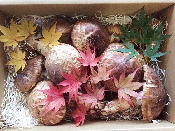 豪華客船 特注品 つぼみとひらきの詰め合わせ 950gの写真