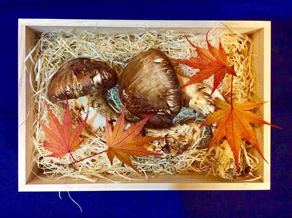 西麻布 飲食店様 特注品の写真