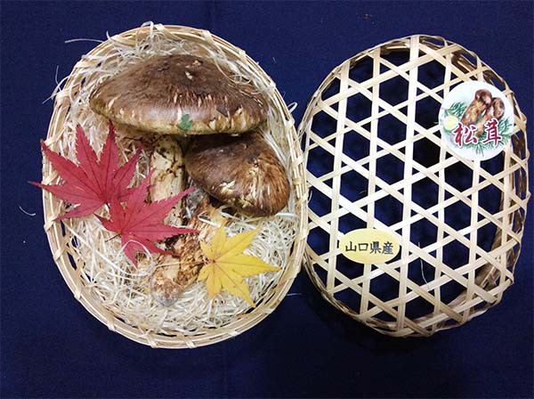 東京 メディア関連企業様 景品用のご依頼の写真
