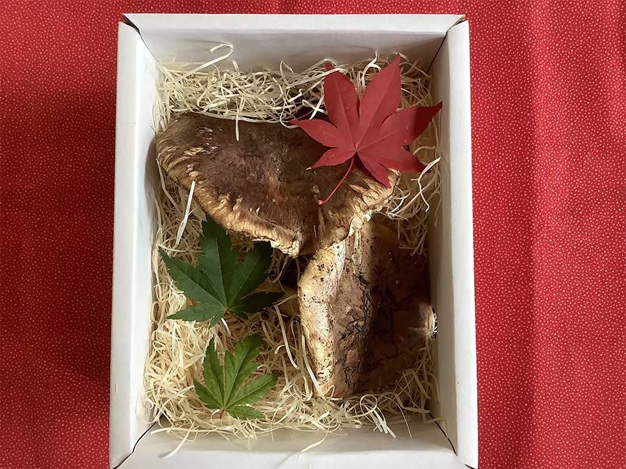 特注不揃い広島県産ひらき160g