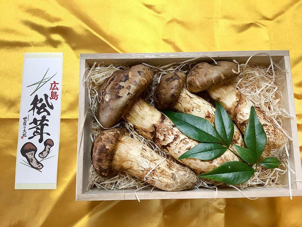 広島飲食店さまご依頼の松茸の特選300gの写真