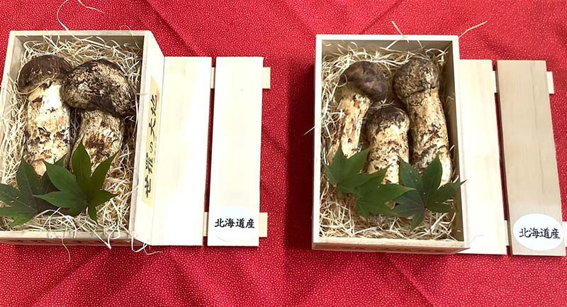 北海道産松茸の写真