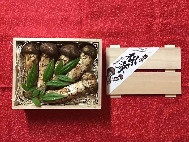 松茸の竹の写真