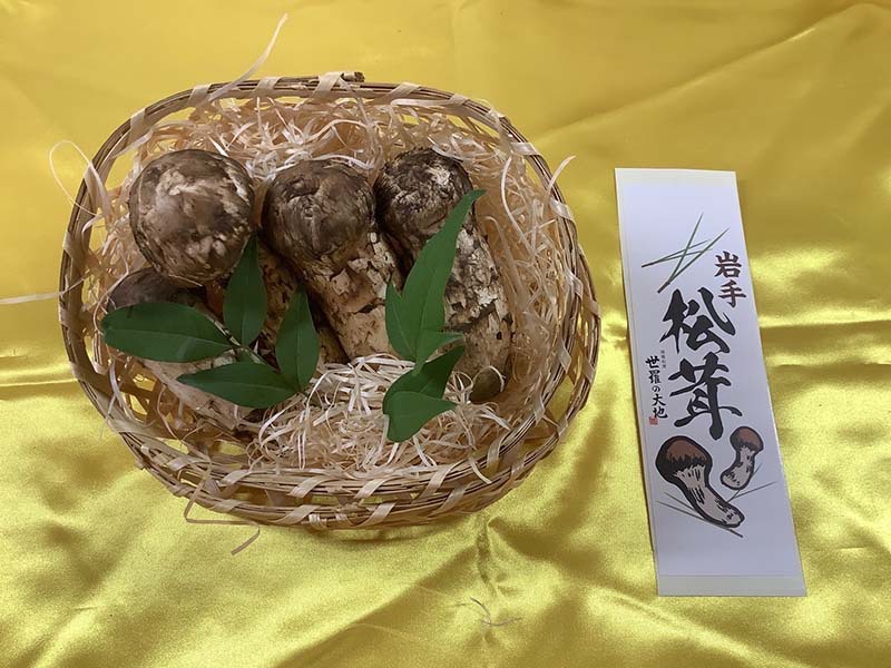 松茸の梅の写真