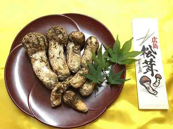 広島県産の松茸の写真
