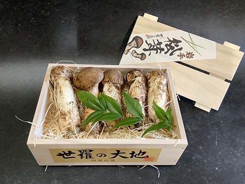 晩秋の国産松茸150g 