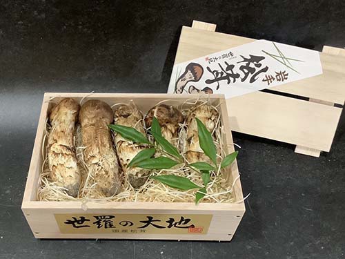 秋の名残の国産松茸150g