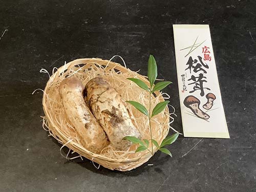 広島県産15,000円分の松茸