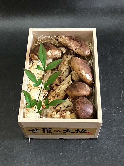 秋の名残の国産松茸300g