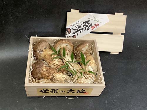 秋の名残の国産松茸250g