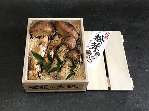 秋の名残の国産松茸250g