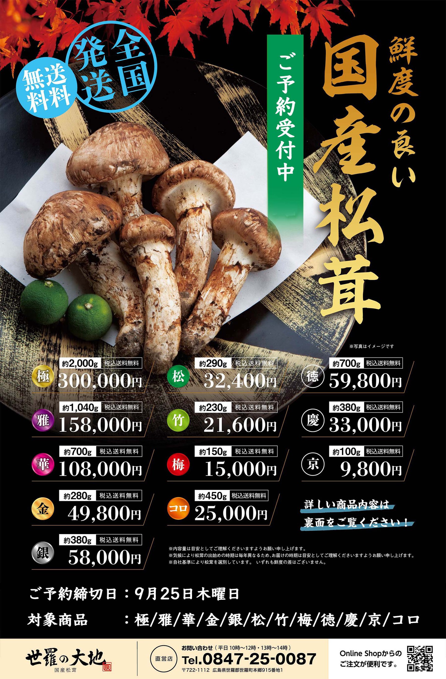 国産松茸のチラシ