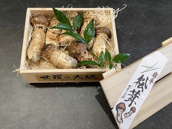 国産松茸の竹