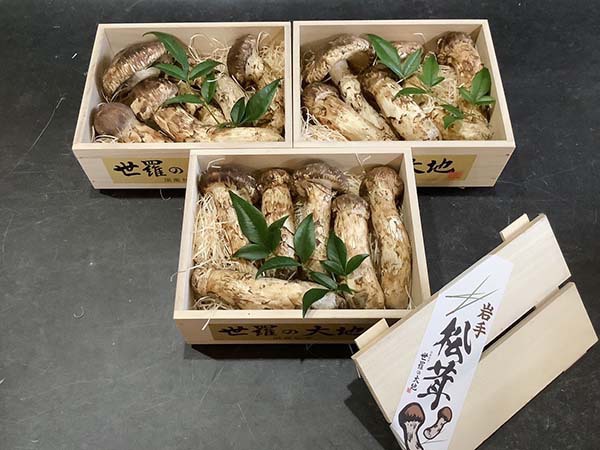飲食店様からのご依頼 竹3箱