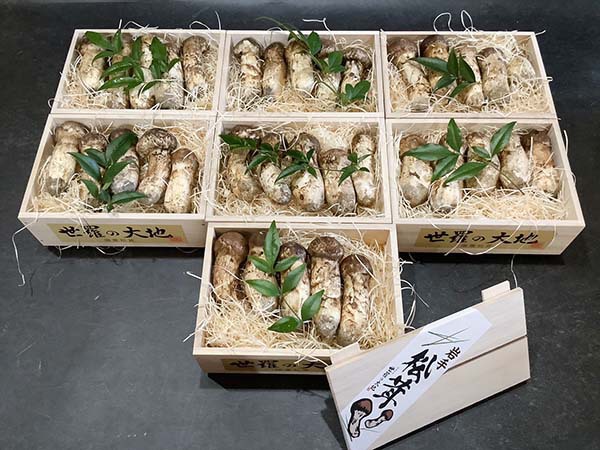 企業様からのご依頼 竹7箱