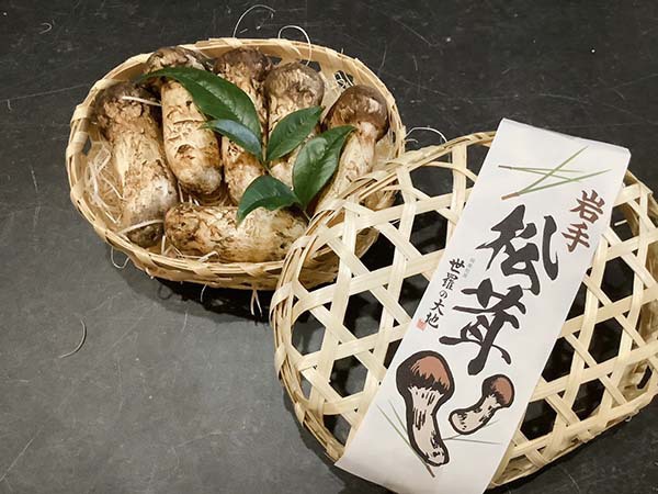 国産松茸の京