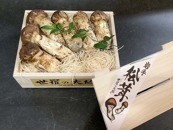 国産松茸の竹