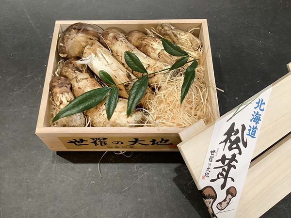 国産松茸の竹