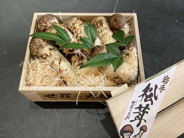 国産松茸の竹