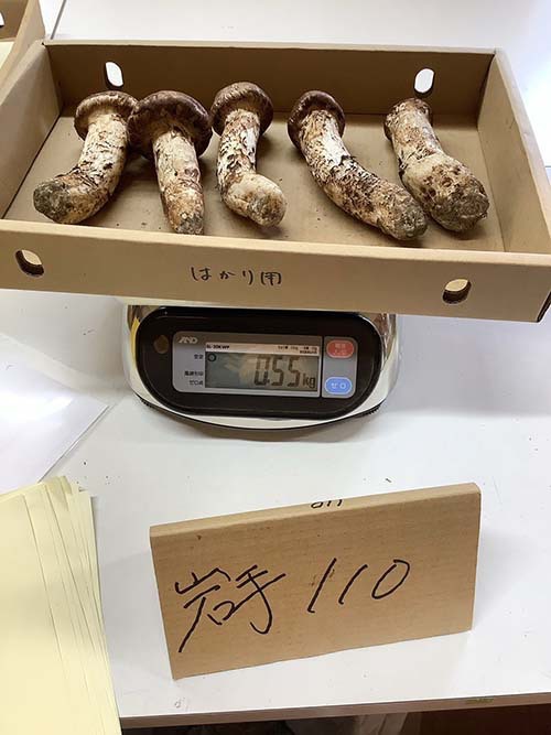 110gのつぼみ
