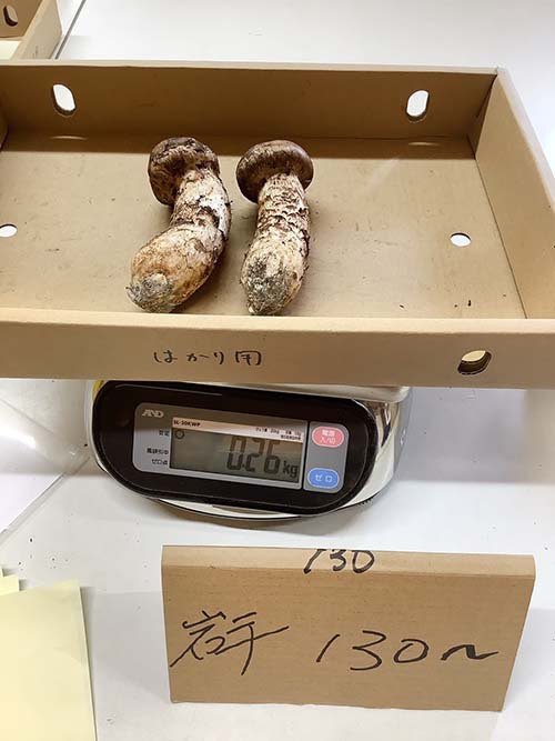 130gのつぼみ