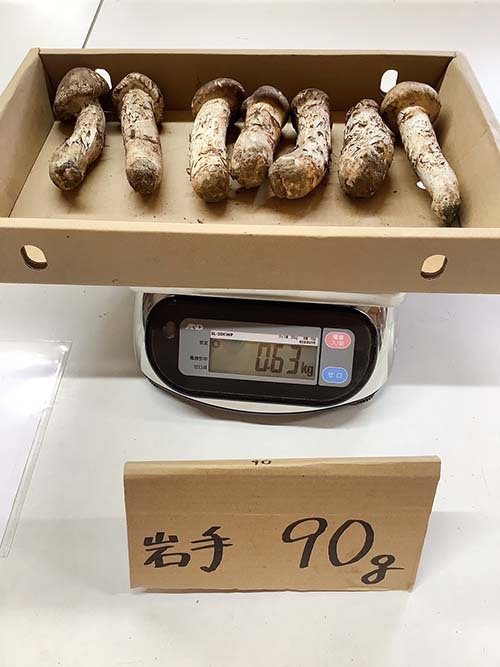 90gのつぼみ