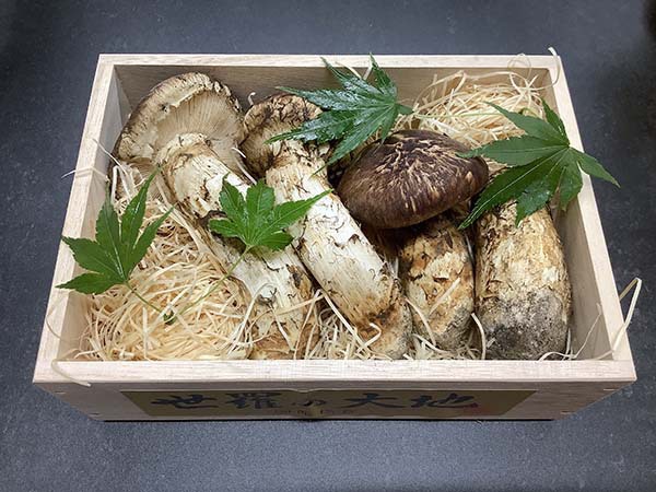 国産松茸の梅