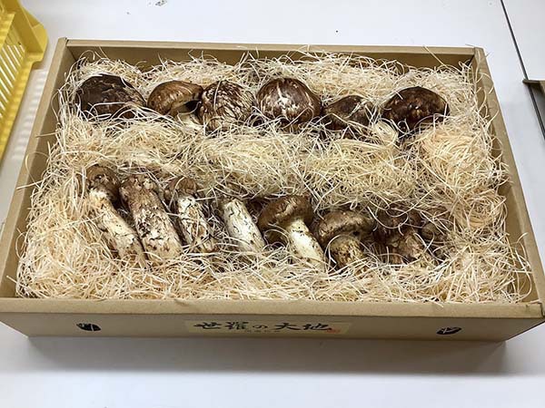 愛知県　飲食店様