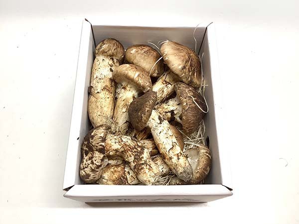 広島県　飲食店様