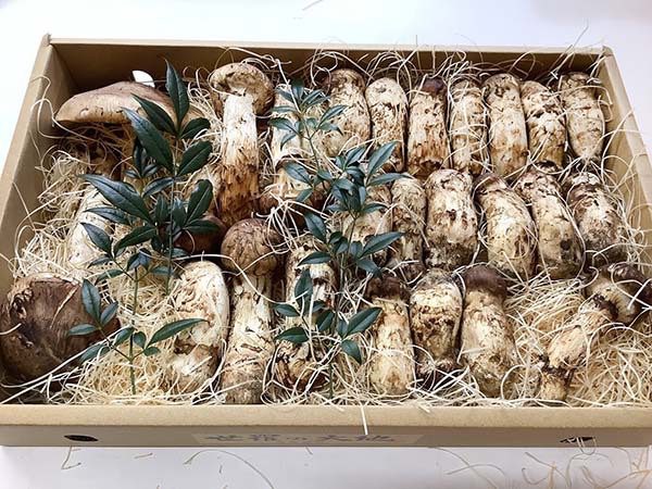 兵庫県　飲食店様