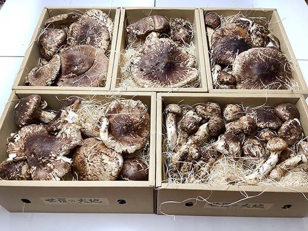 奈良県　飲食店様