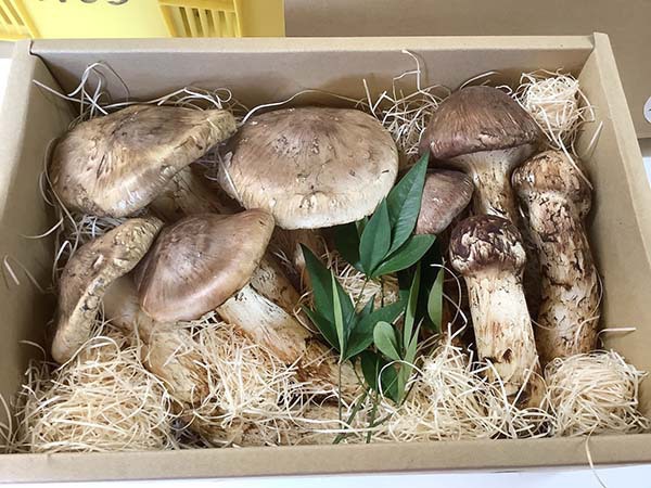 兵庫県　飲食店さまのご依頼