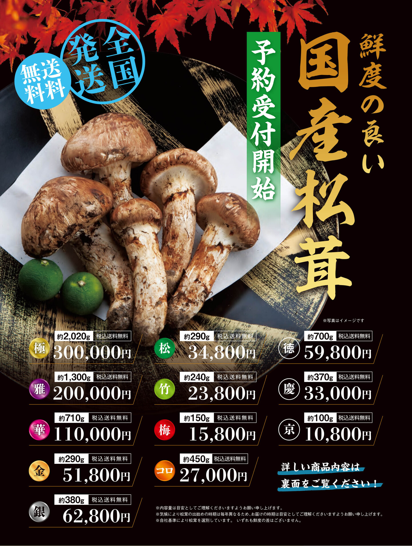 2026年国産松茸のチラシ表