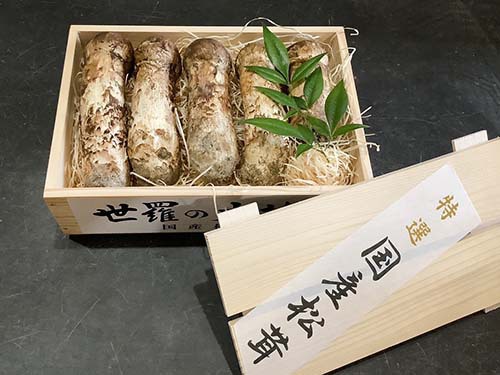 金