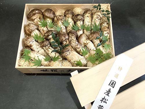 極