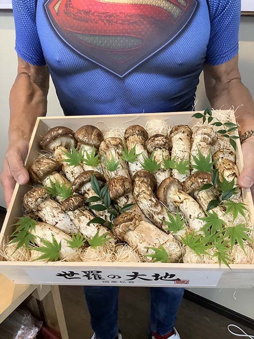 極のサイズ感