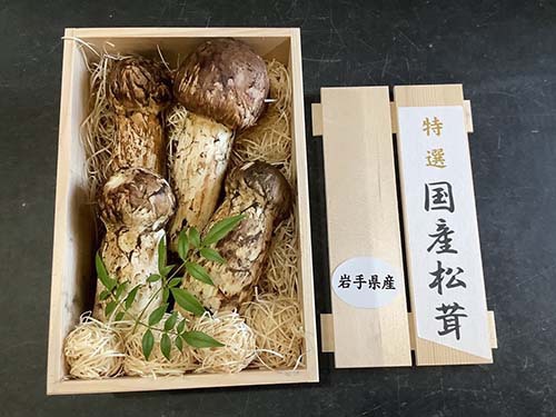 銀