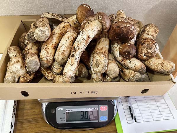奈良県旅館　キズ3kg