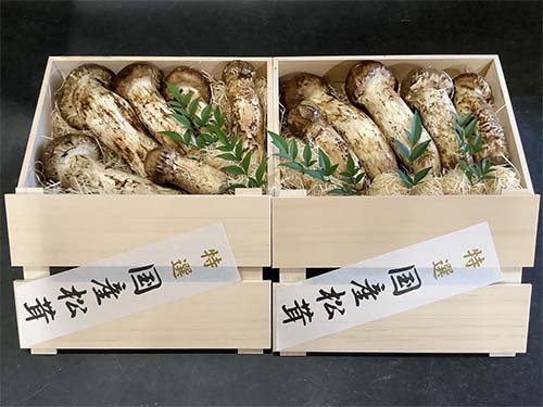 華２つ