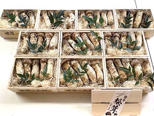 小売店さまご依頼品　170g詰10箱