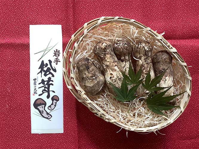 梅の写真
