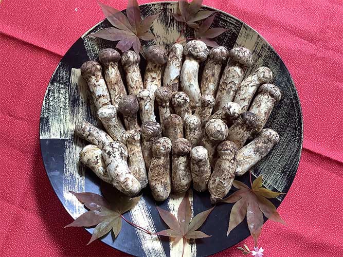 店頭 量り売り用の松茸の写真